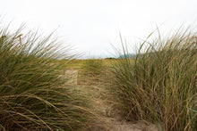 Load image into Gallery viewer, Beach Grass
